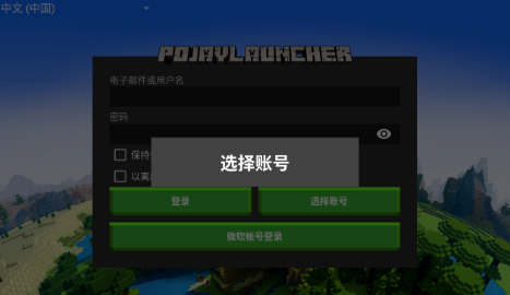 pojavaluncher中文版2