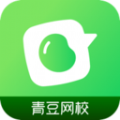 青豆网校app