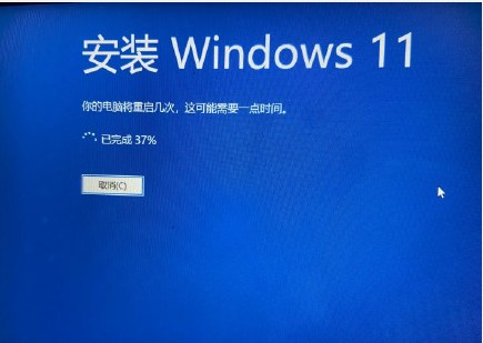 Windows11系统专业性1