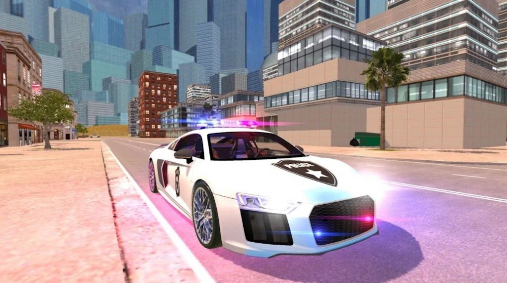 R8警察模拟器2021游戏1