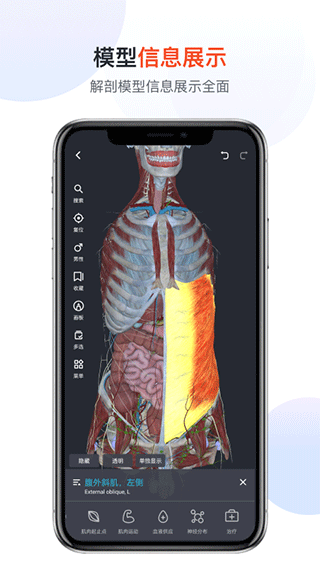 口袋人体解剖app3