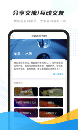 龙巅app2