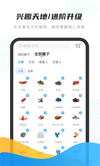 龙巅app3