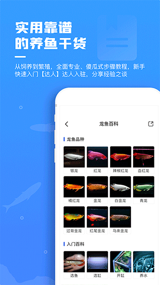 鲲天下养鱼app2