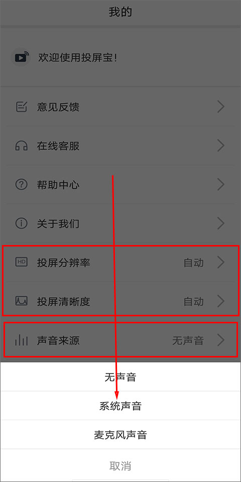 投屏宝app(图4)