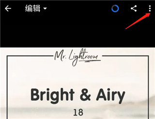 lightroom手机版最新版(图9)