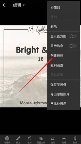 lightroom手机版最新版(图10)