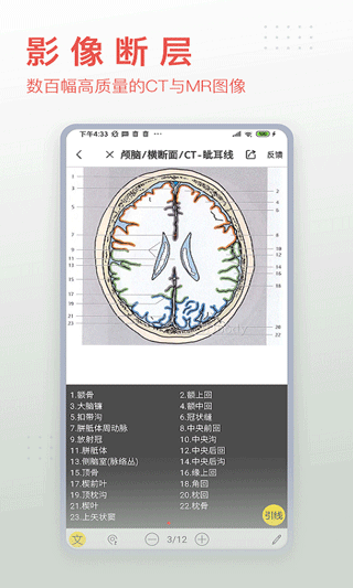 3dbody解剖app最新版1