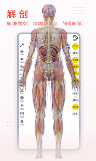 3dbody解剖app最新版3