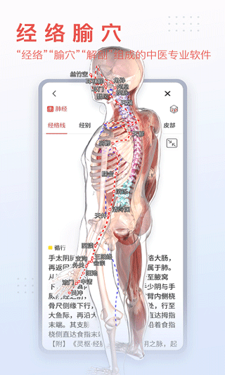 3dbody解剖app最新版5