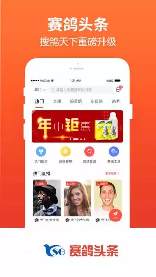 赛鸽头条app4