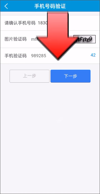 河北电子税务局官方app(图5)