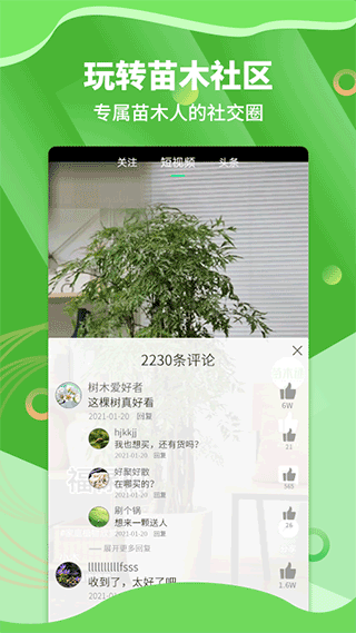 苗木通app1