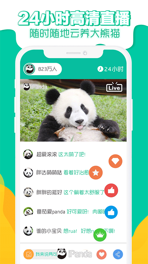 ipand熊猫频道app1