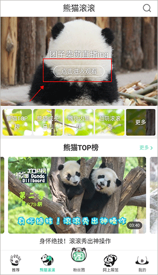 ipand熊猫频道app(图2)