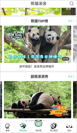 ipand熊猫频道app(图4)