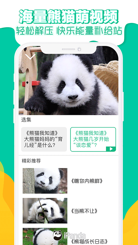 ipand熊猫频道app4