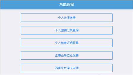 河北税务社保缴费app(图3)