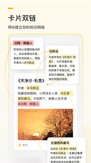 惊叹闪卡笔记app(更名为闪记卡)5