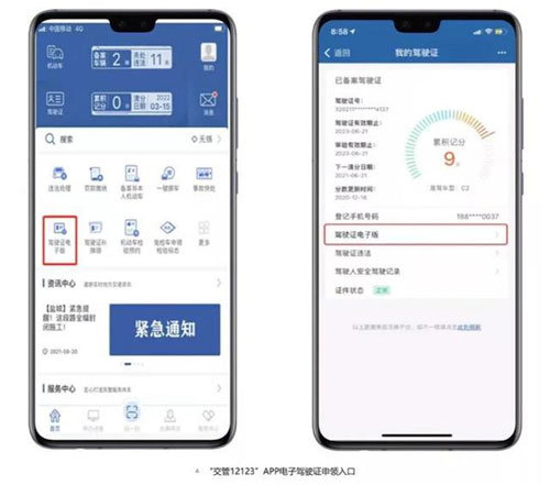 12123电子驾驶证app(图3)