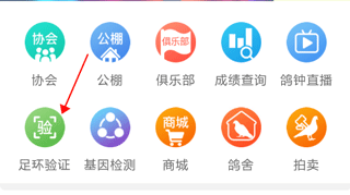 中国信鸽协会app(图2)