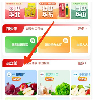 央企消费帮扶app(图11)