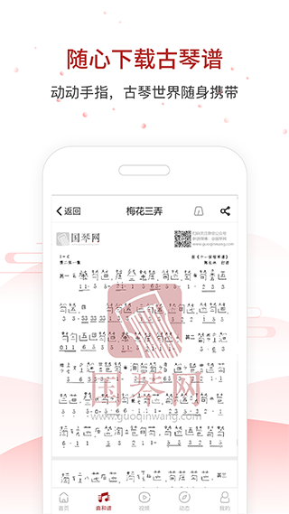 国琴网app3