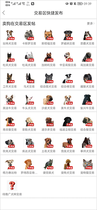 猛犬俱乐部app(图5)