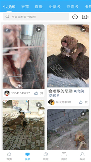 猛犬俱乐部app2