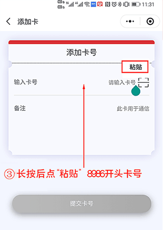 表鸽app(图8)