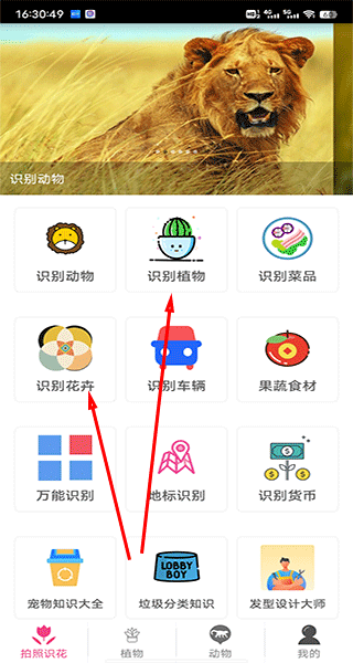 拍照识花神器手机版(图2)
