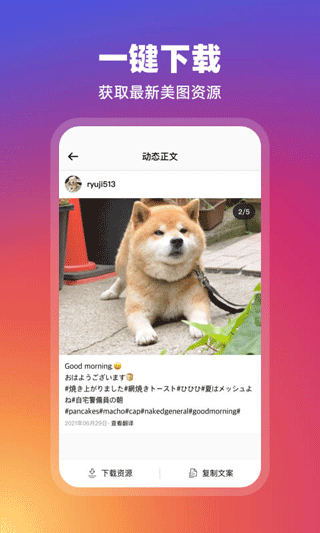 INS订阅器app1