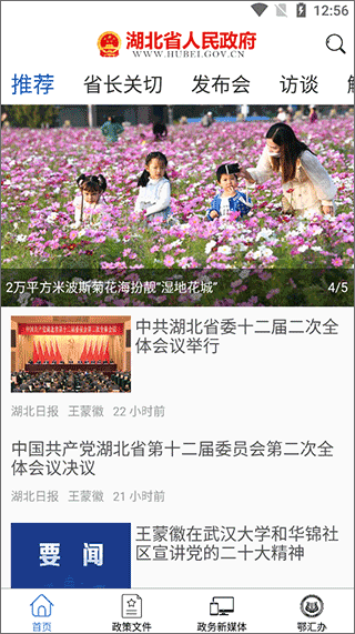湖北省人民政府官方app(图2)