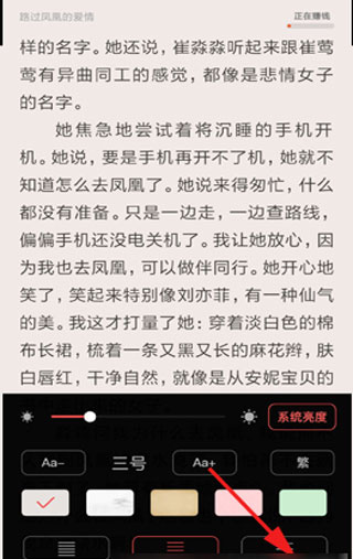 饭团追书app(图9)