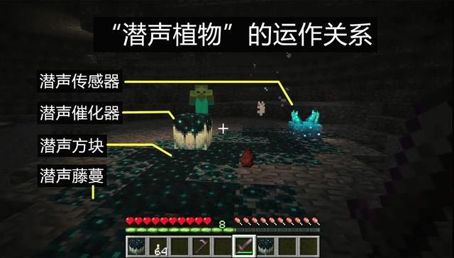 我的世界1.19基岩版最新版4