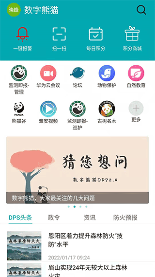 数字熊猫app1