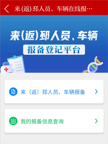 邳州银杏甲天下app(图3)