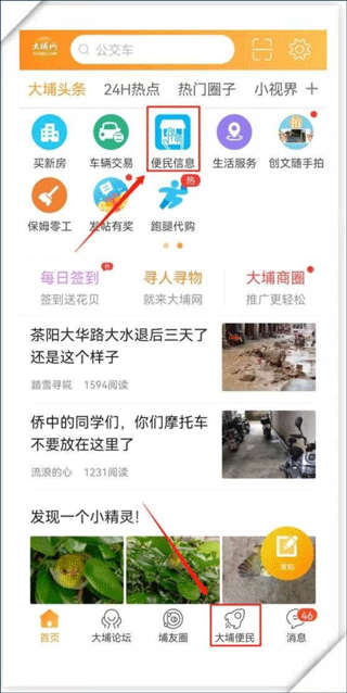 大埔网app(图2)