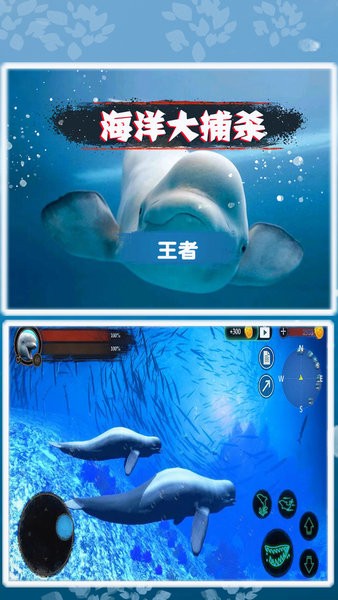 海洋大捕杀游戏3