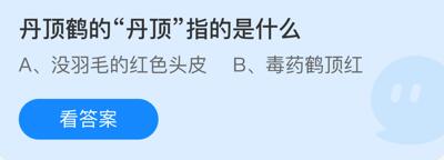 蚂蚁庄园1月15日：丹顶鹤的“丹顶”指的是什么(图2)